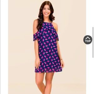 Francesca’s Watermelon Ruffle Shift Dress, size S